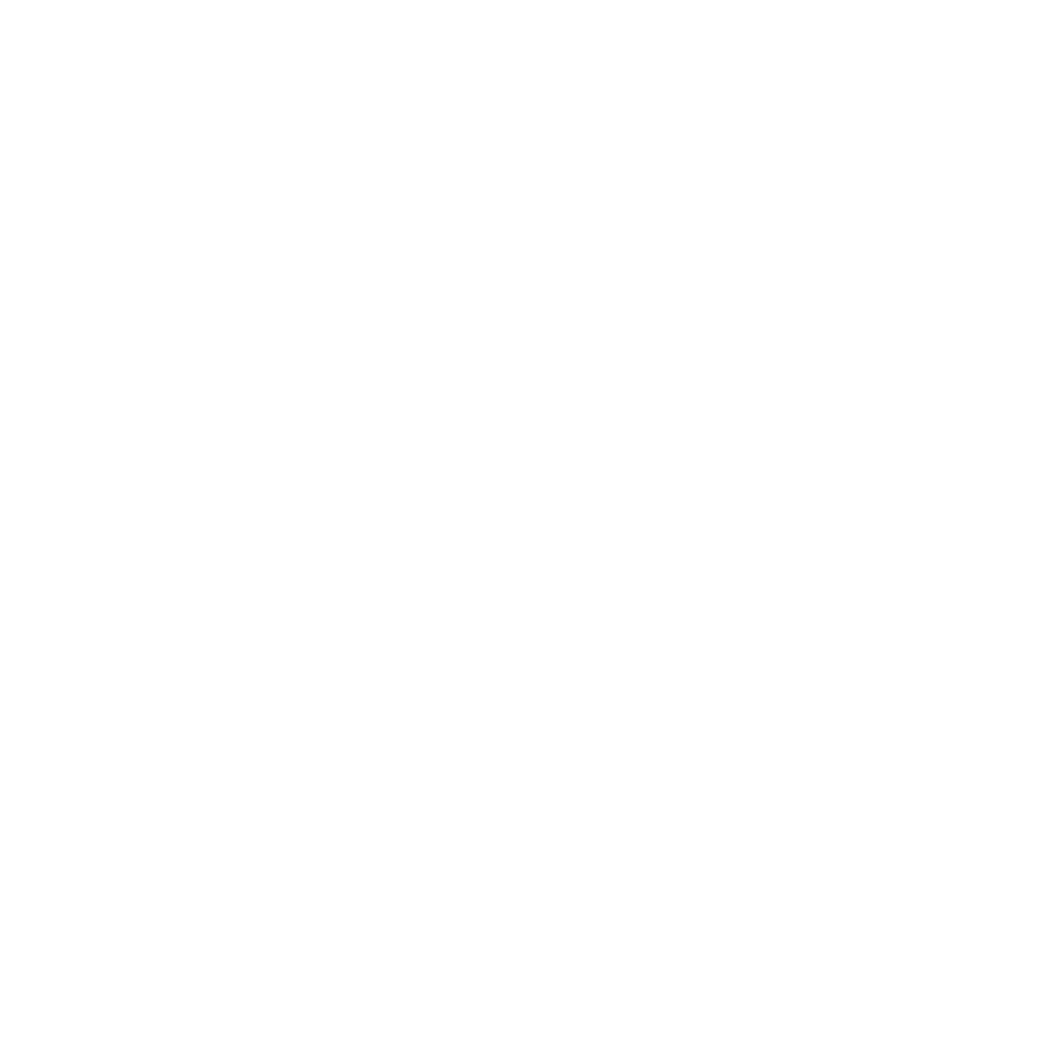 GeoSentry logo